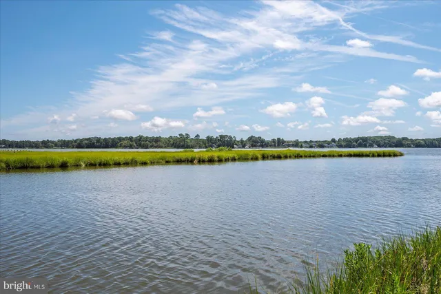 a house that has a tree in front of it