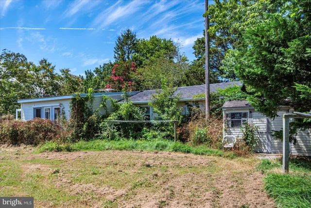 a view of an ocean with trees
