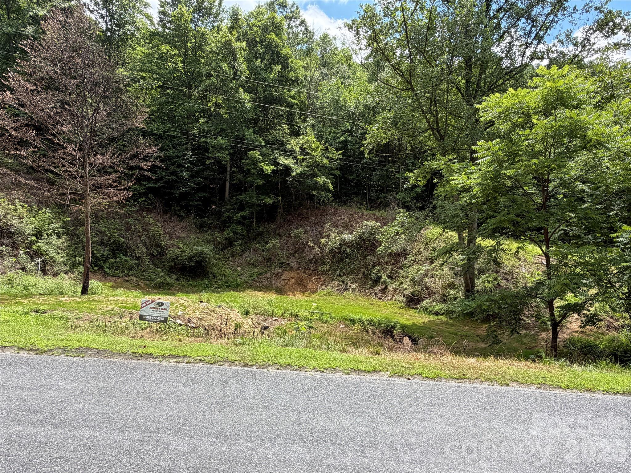 366 Renfro Road Green Mountain, NC 28740 - Photo 3 of 40 Gallery Image 3