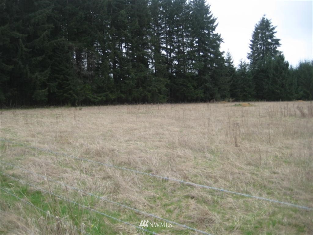 198 Allman Road Winlock, WA 98596 - Photo 6 of 9