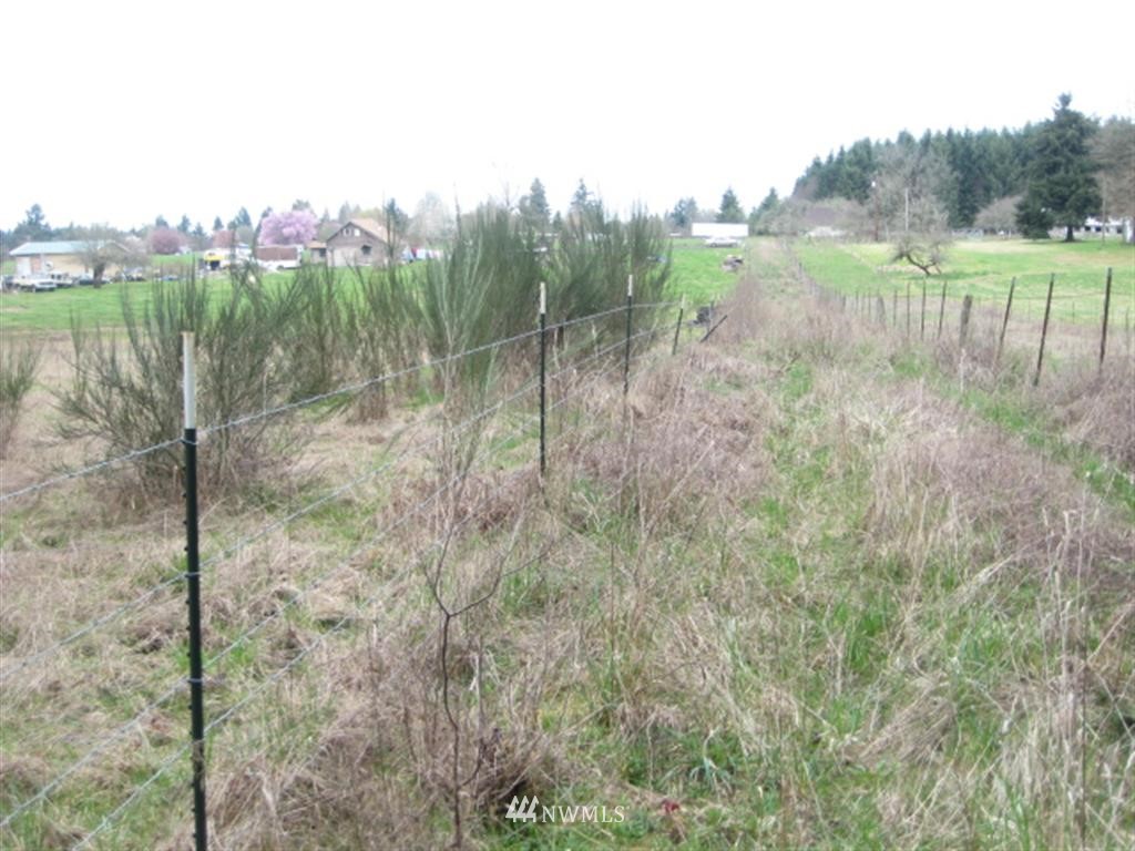 198 Allman Road Winlock, WA 98596 - Photo 7 of 9