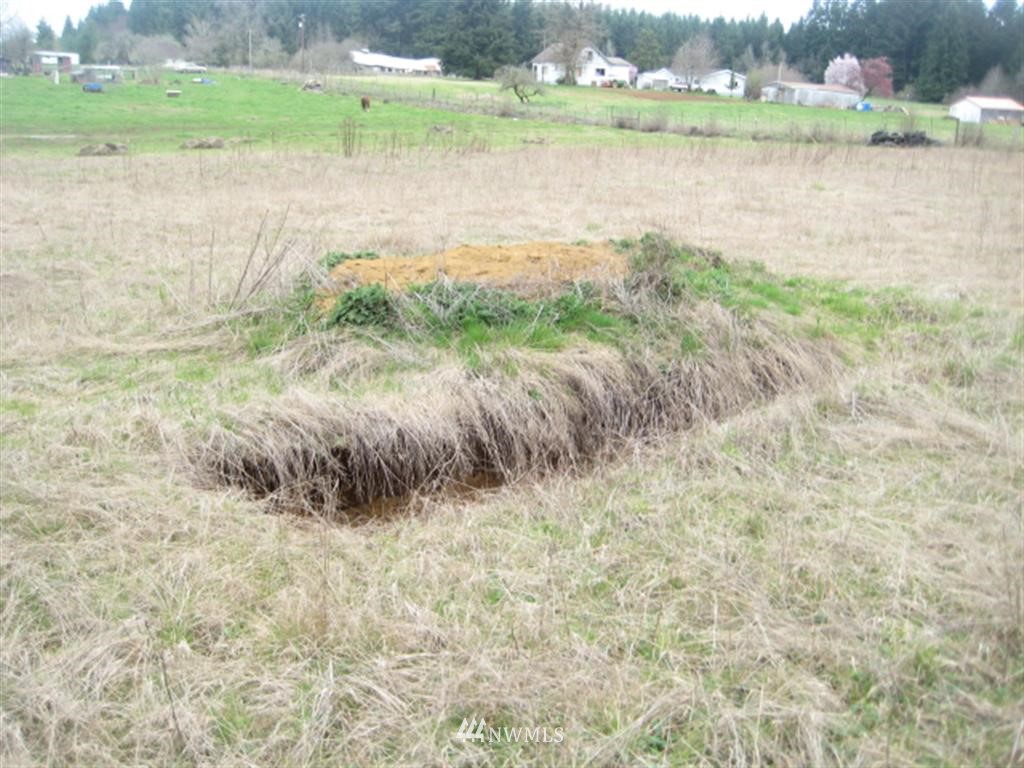 198 Allman Road Winlock, WA 98596 - Photo 8 of 9