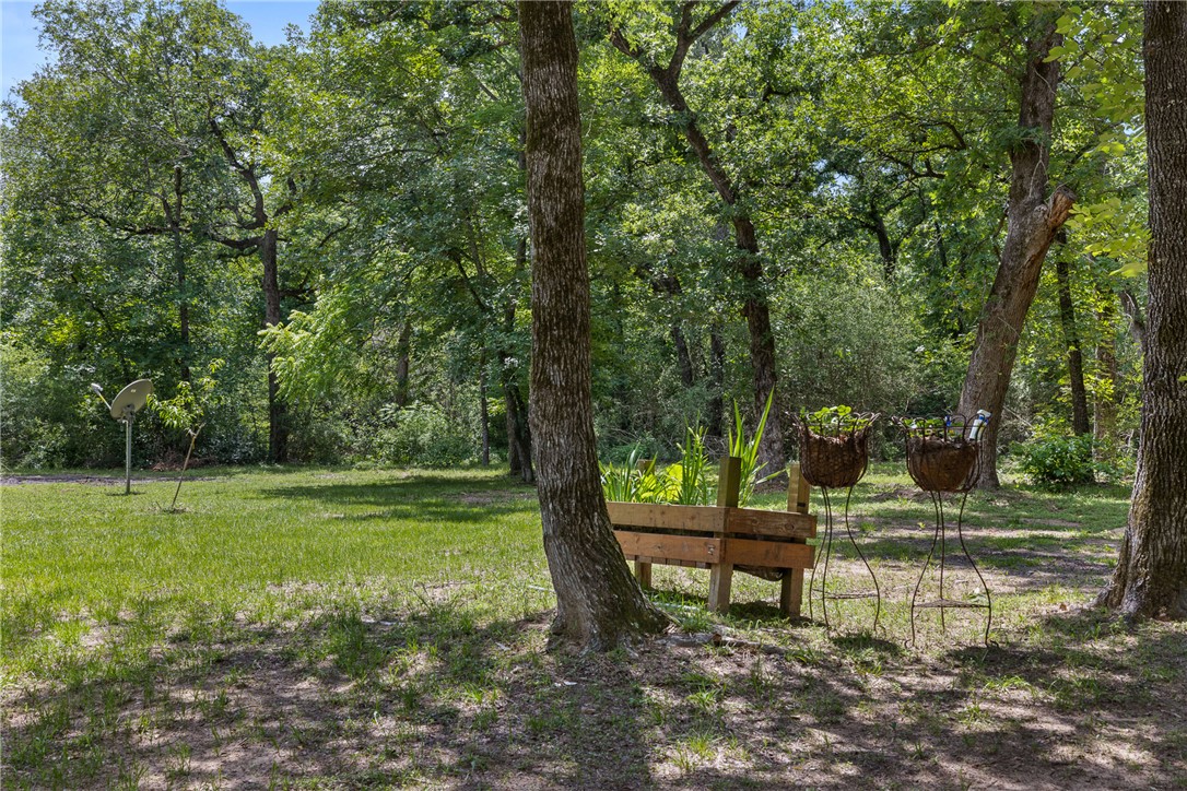 12255 County Road Centerville, TX 75833 - Photo 20 of 26 a view of a park with large trees