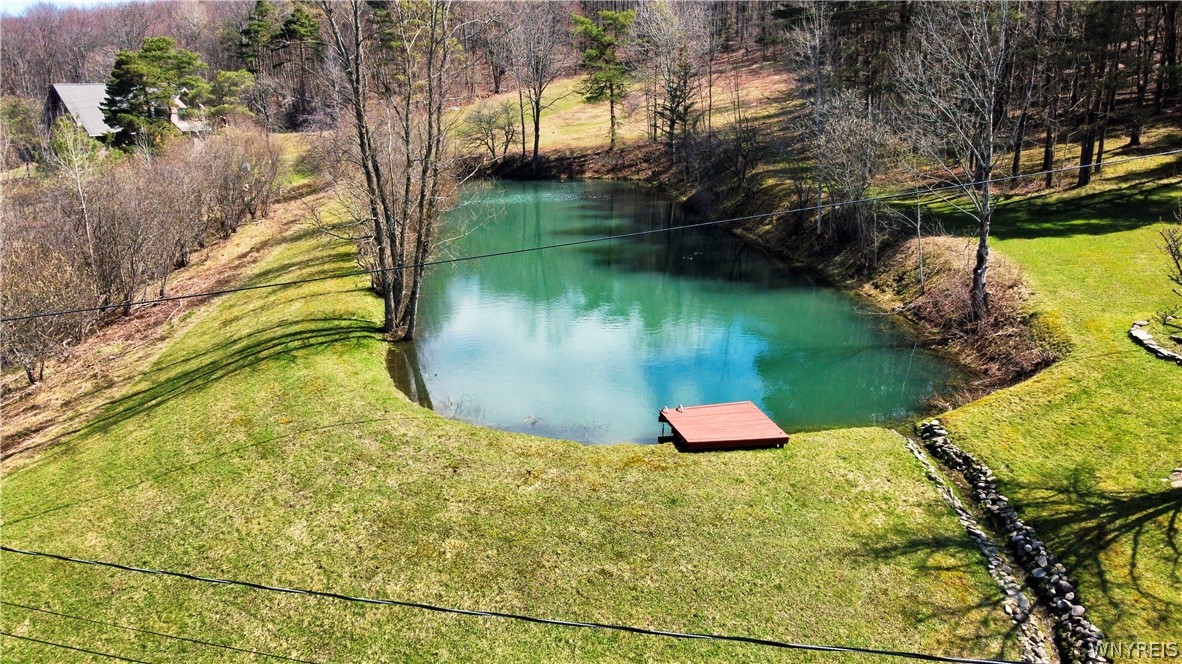 7044 Crane Road Ellicottville, NY 14731 - Photo 42 of 50
