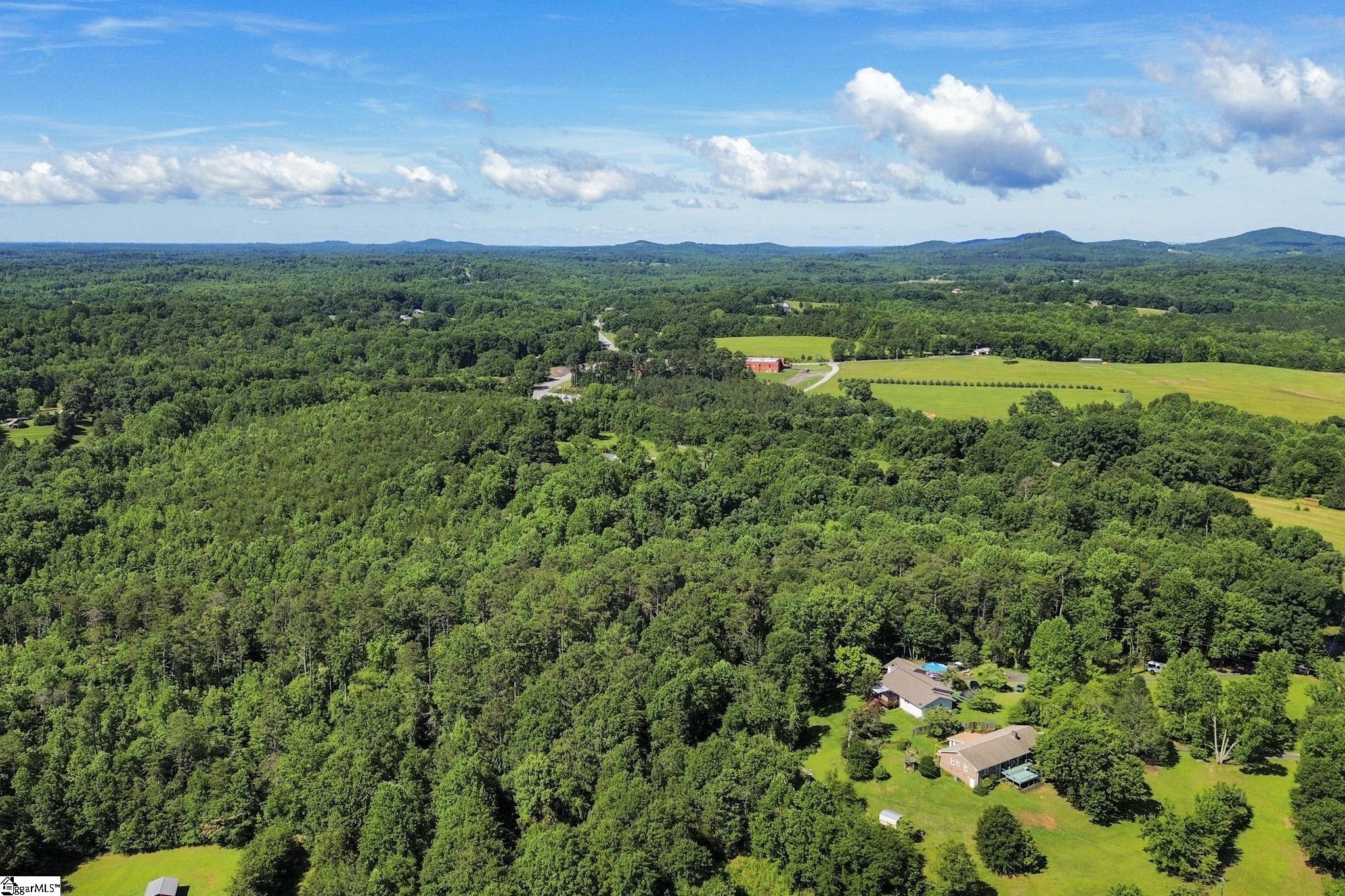 196 Raines Road Easley, SC 29640 - Photo 30 of 41