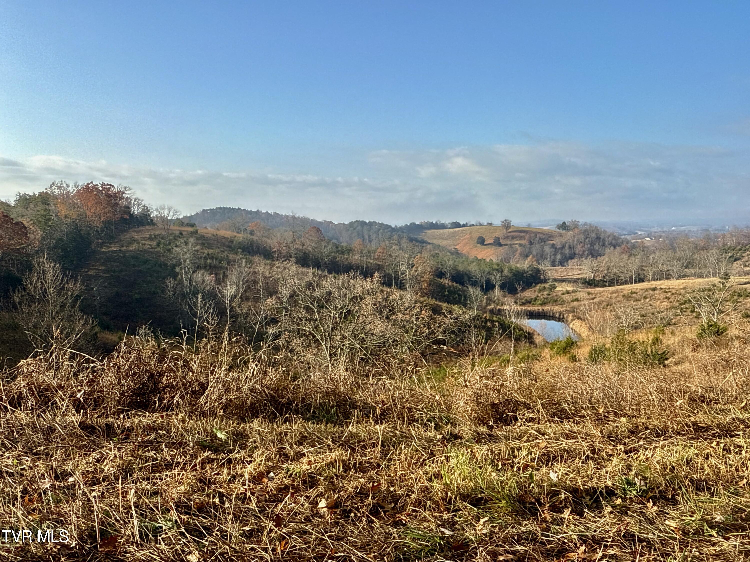 3456 Warrensburg Road, Unit 17 Whitesburg, TN 37891 - Photo 14 of 65 _Pic14 (30)