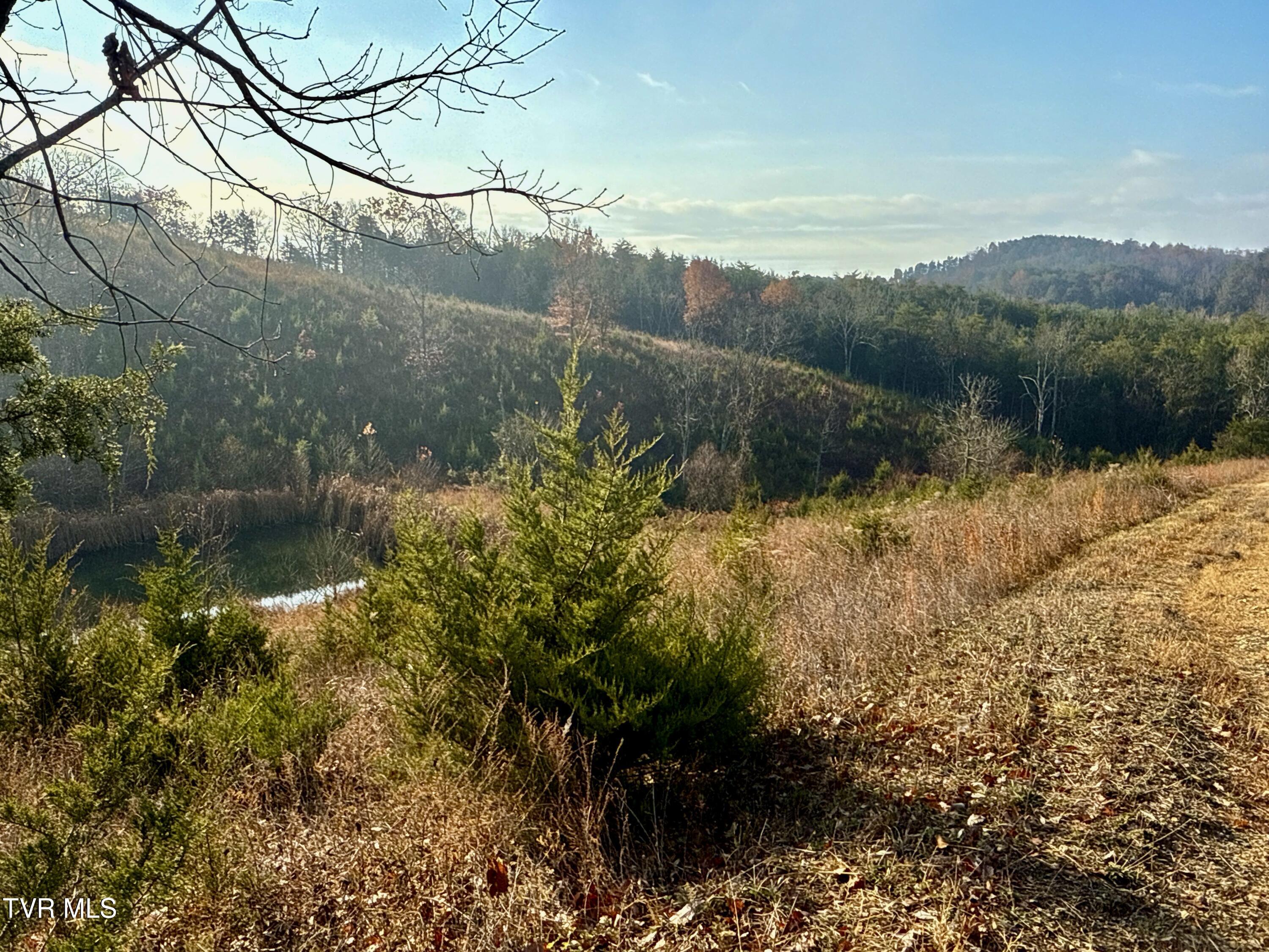 3456 Warrensburg Road, Unit 17 Whitesburg, TN 37891 - Photo 16 of 65 _Pic16 (27)