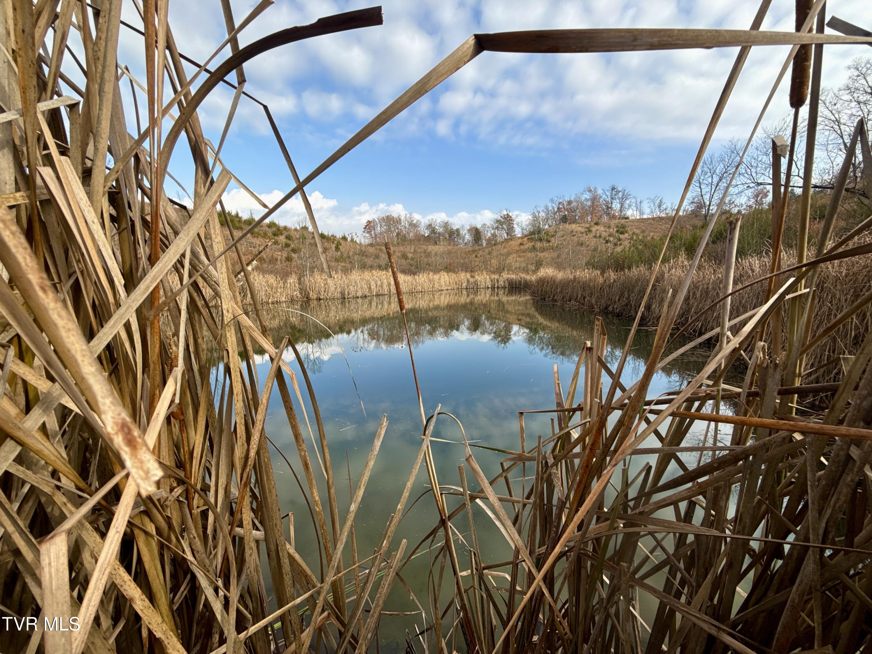 3456 Warrensburg Road, Unit 17 Whitesburg, TN 37891 - Photo 17 of 65 _Pic17 (29)