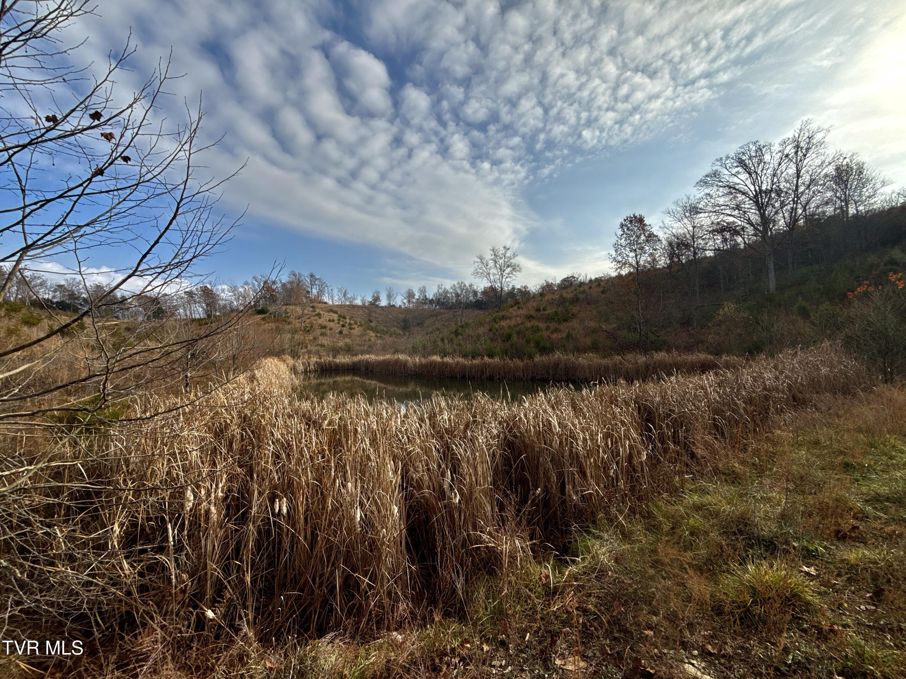 3456 Warrensburg Road, Unit 17 Whitesburg, TN 37891 - Photo 18 of 65 _Pic18 (28)