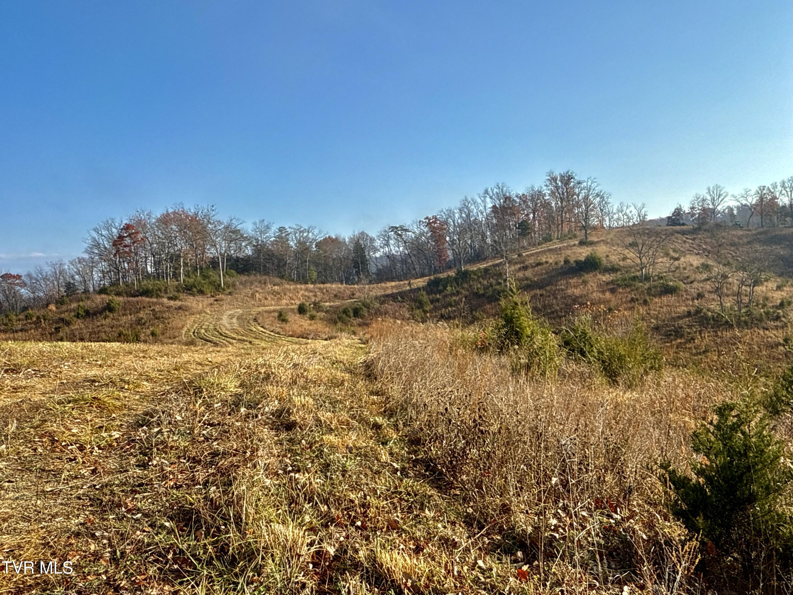 3456 Warrensburg Road, Unit 17 Whitesburg, TN 37891 - Photo 25 of 65 _Pic25 (21)