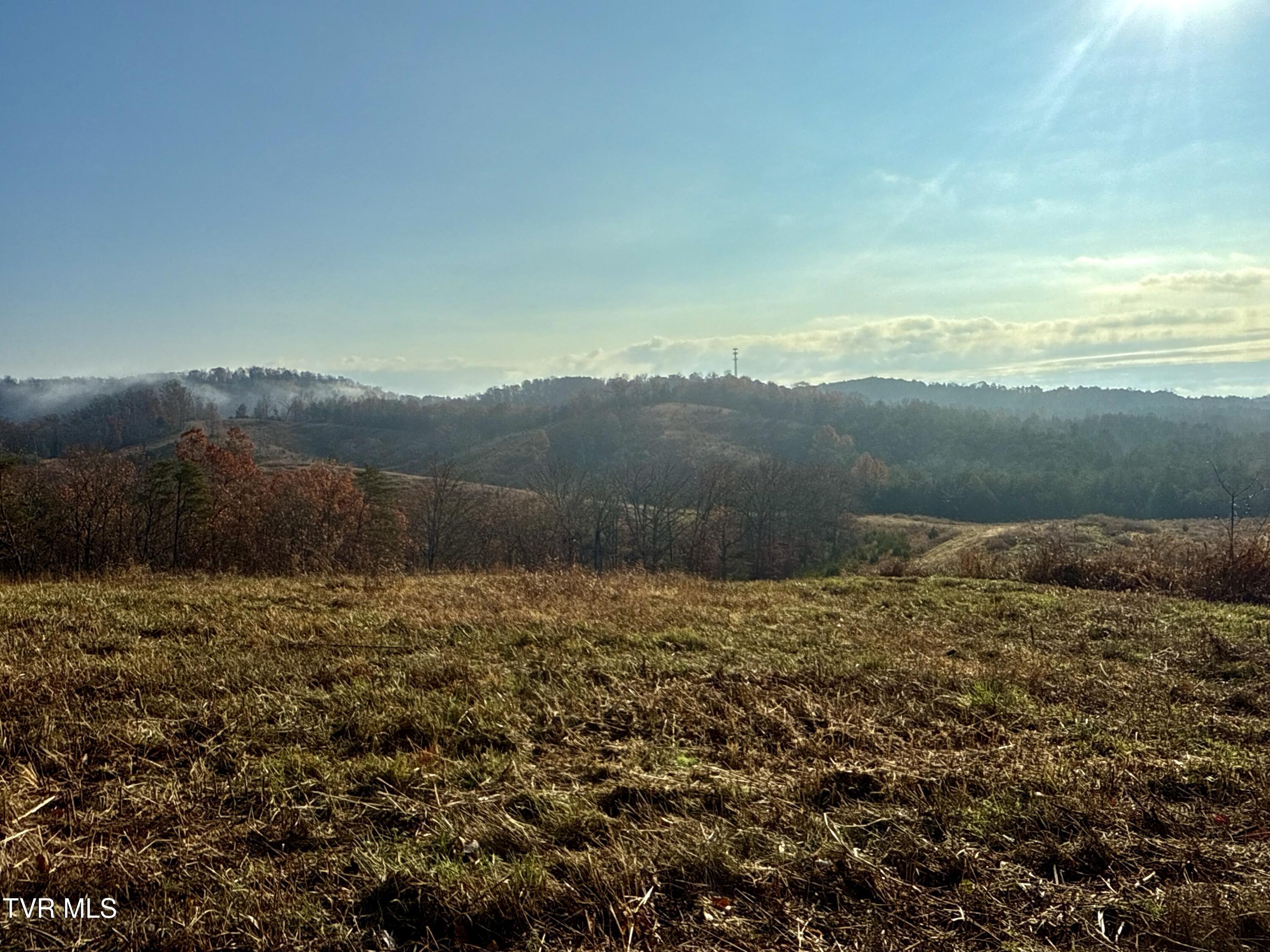 3456 Warrensburg Road, Unit 17 Whitesburg, TN 37891 - Photo 26 of 65 _Pic26 (22)