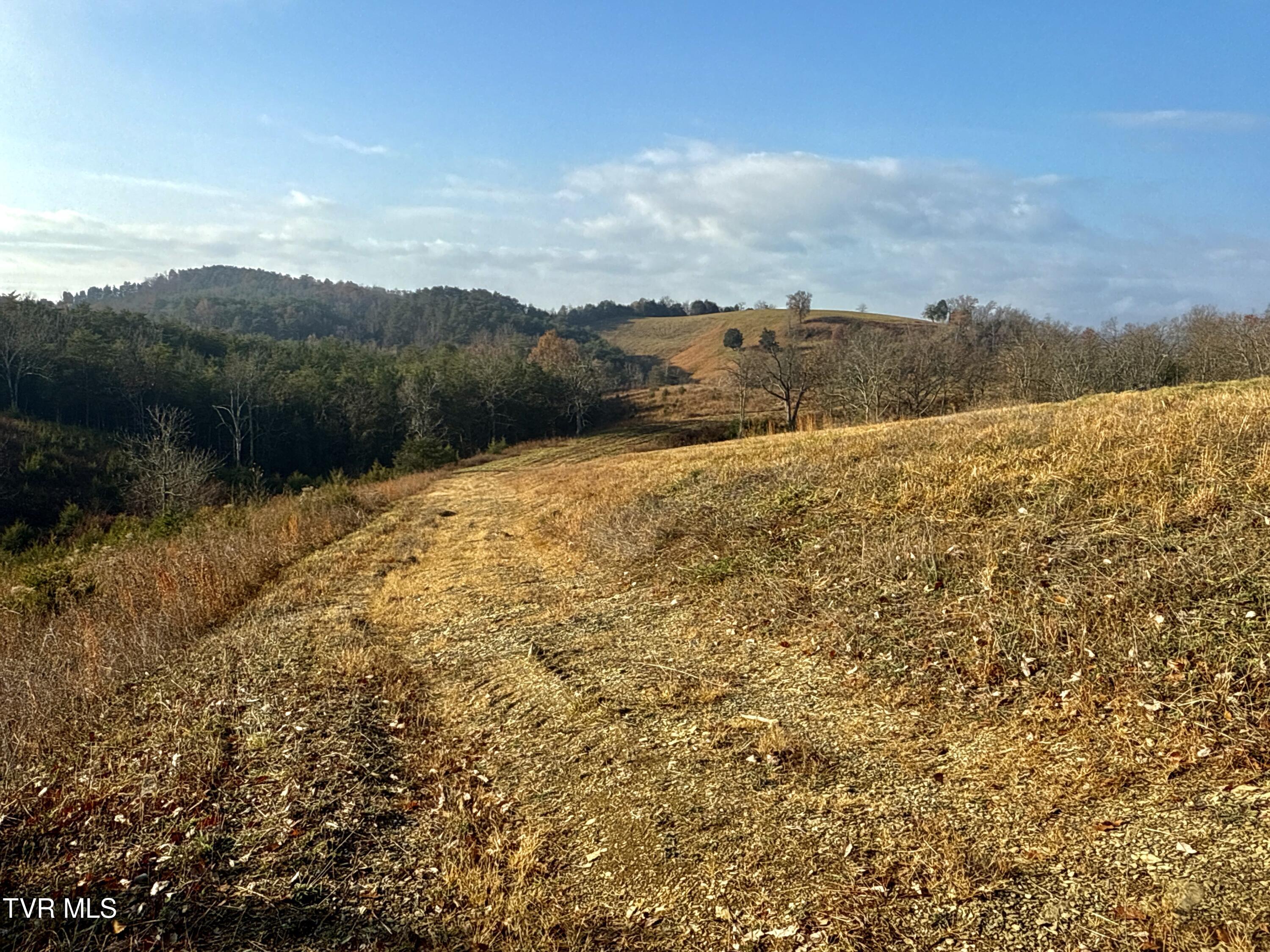 3456 Warrensburg Road, Unit 17 Whitesburg, TN 37891 - Photo 27 of 65 _Pic27 (22)