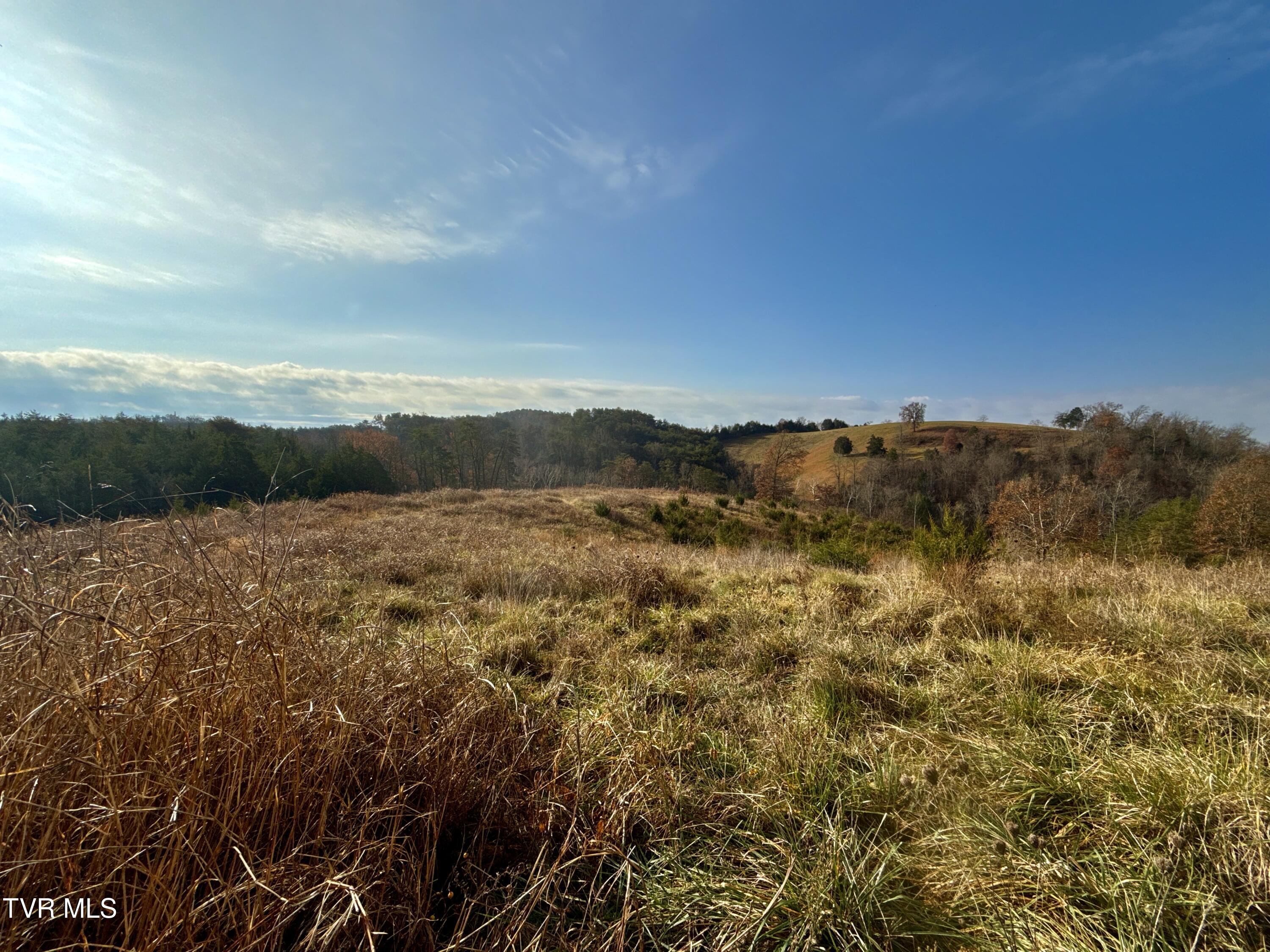 3456 Warrensburg Road, Unit 17 Whitesburg, TN 37891 - Photo 30 of 65 _Pic30 (19)