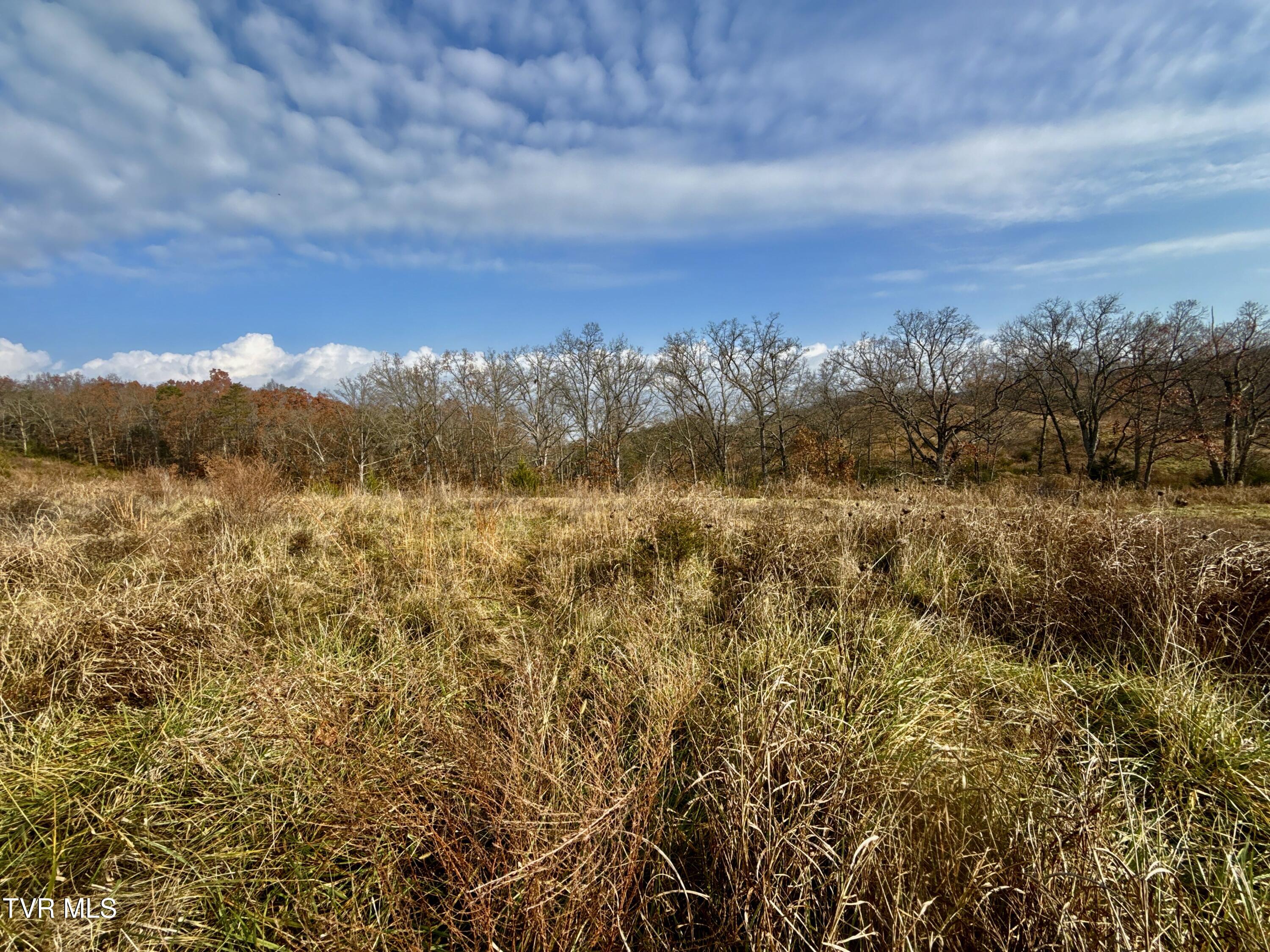 3456 Warrensburg Road, Unit 17 Whitesburg, TN 37891 - Photo 31 of 65 _Pic31 (20)