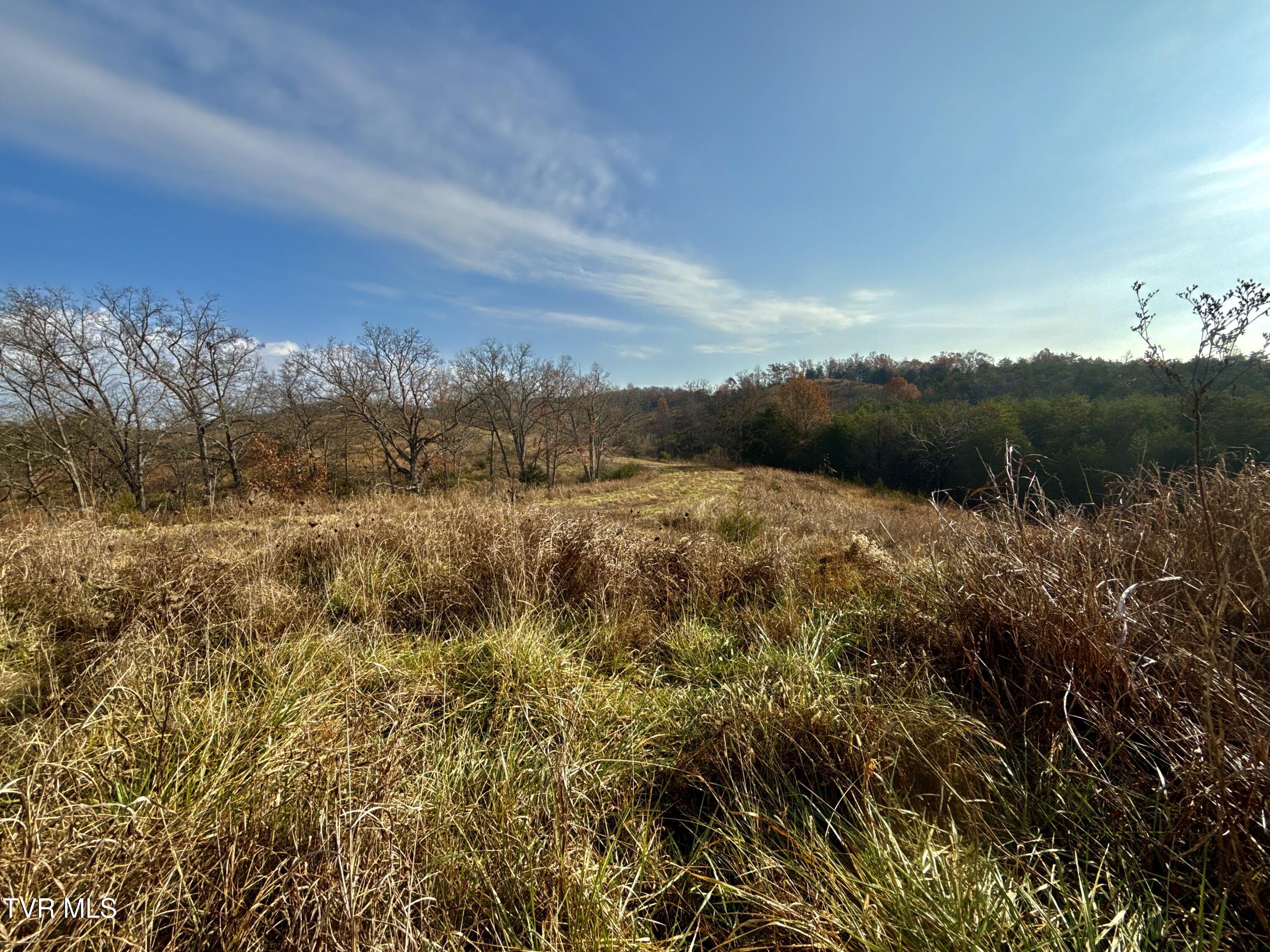 3456 Warrensburg Road, Unit 17 Whitesburg, TN 37891 - Photo 32 of 65 _Pic32 (17)