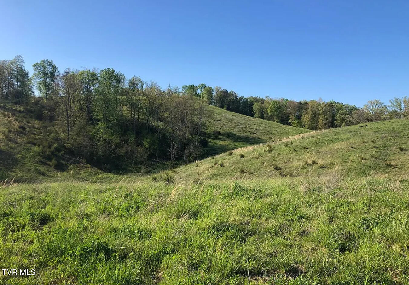 3456 Warrensburg Road, Unit 17 Whitesburg, TN 37891 - Photo 36 of 65 _Pic36