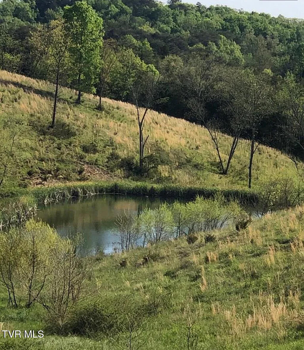 3456 Warrensburg Road, Unit 17 Whitesburg, TN 37891 - Photo 39 of 65 _Pic39