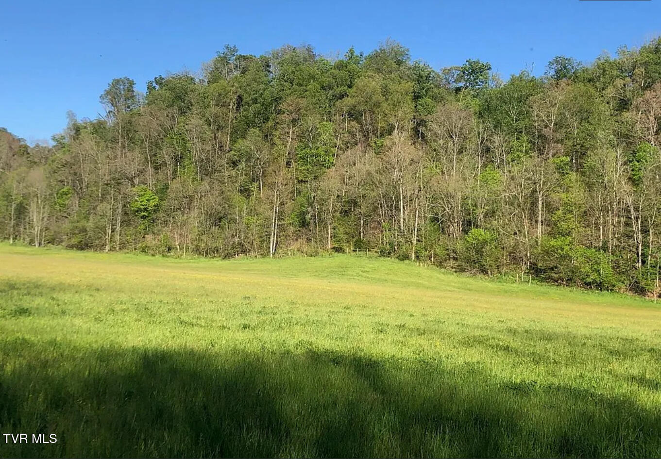 3456 Warrensburg Road, Unit 17 Whitesburg, TN 37891 - Photo 43 of 65 _Pic43