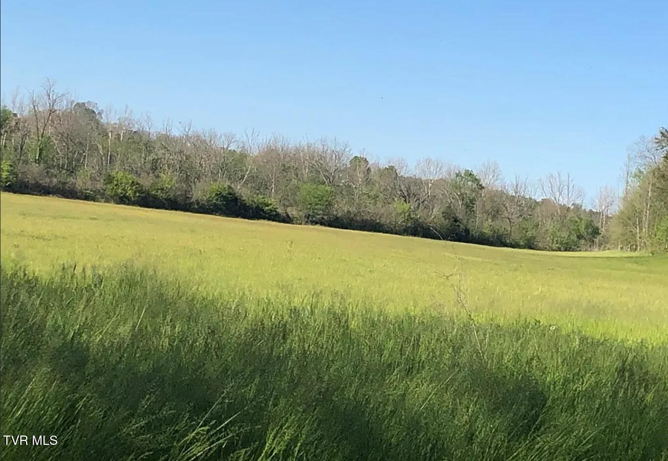 3456 Warrensburg Road, Unit 17 Whitesburg, TN 37891 - Photo 48 of 65 _Pic51