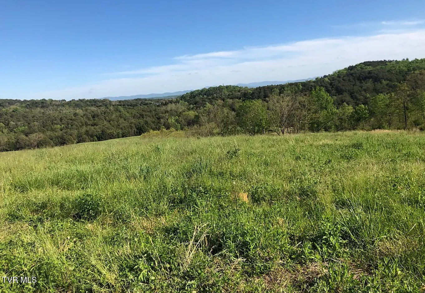 3456 Warrensburg Road, Unit 17 Whitesburg, TN 37891 - Photo 49 of 65 _Pic52