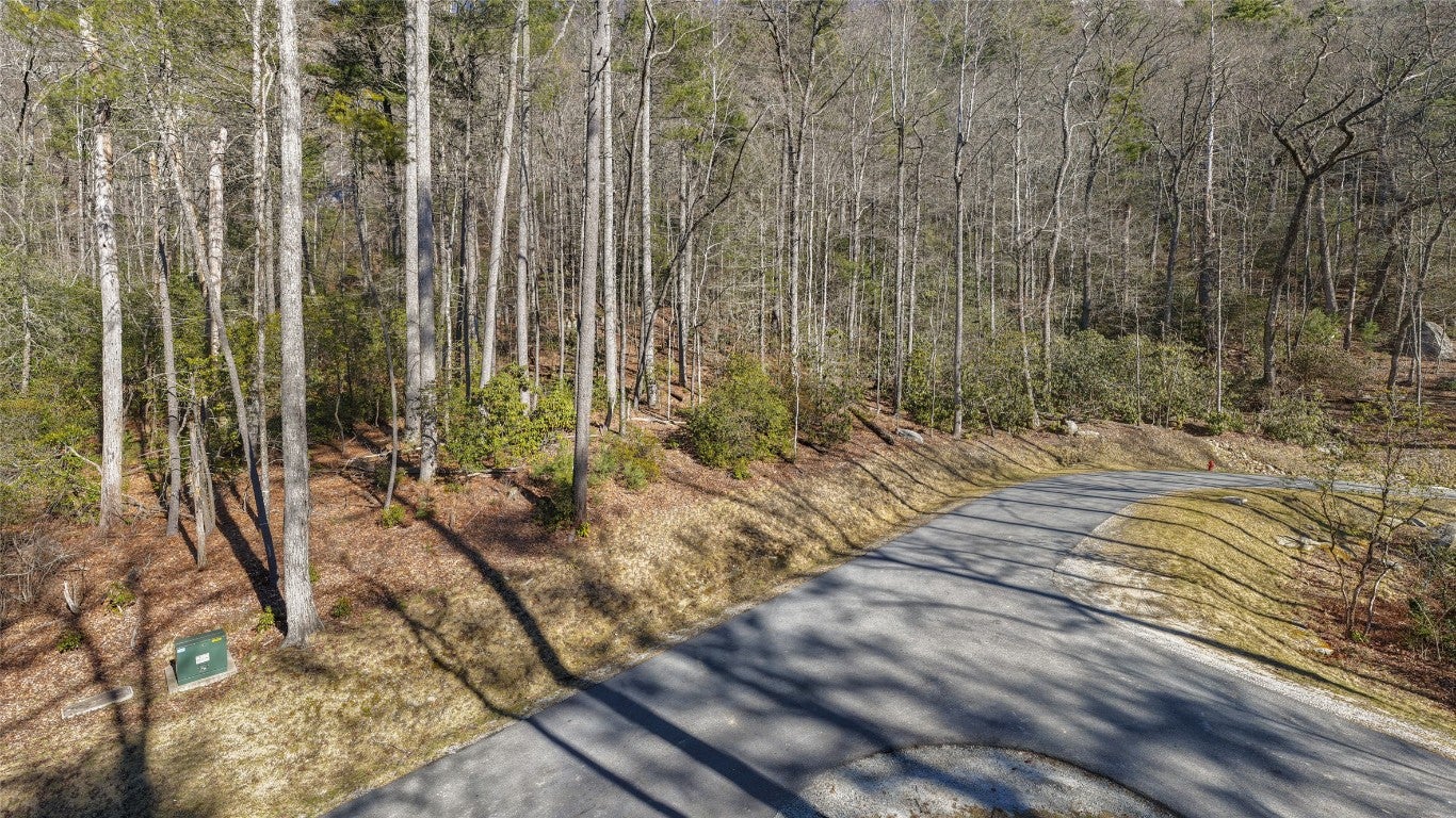 87 Flagstone Road Sapphire, NC 28774 - Photo 3 of 14 Gallery Image 3