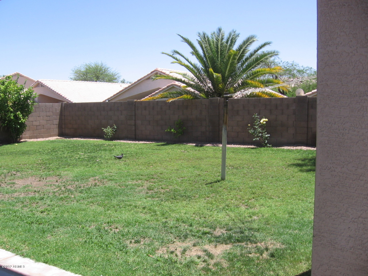 4017 East Agave Road Phoenix, AZ 85044 - Photo 2 of 18 Pool sized backyard