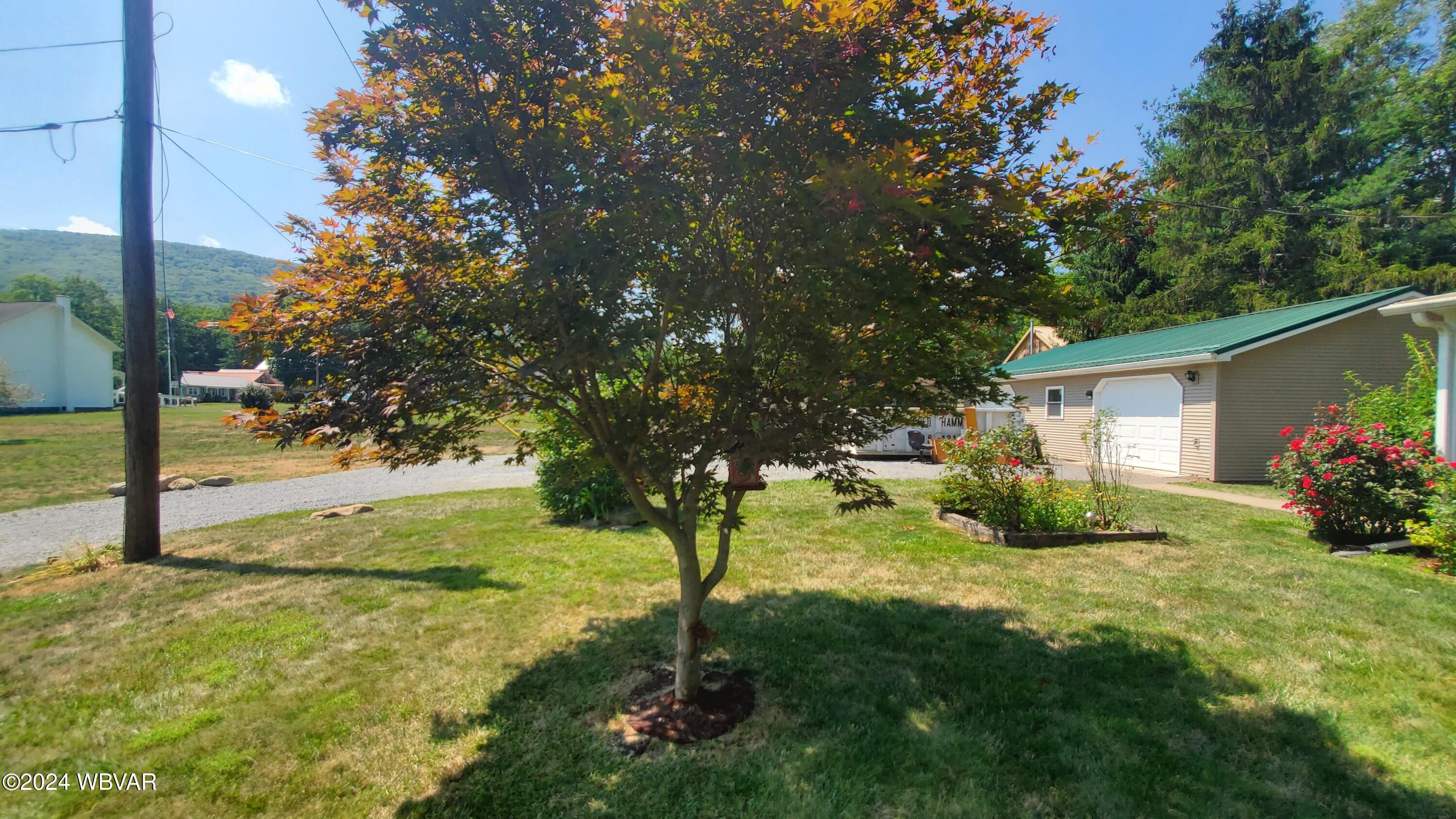 3043 Rauchtown Road Jersey Shore, PA 17740 - Photo 35 of 65 20240713_114058