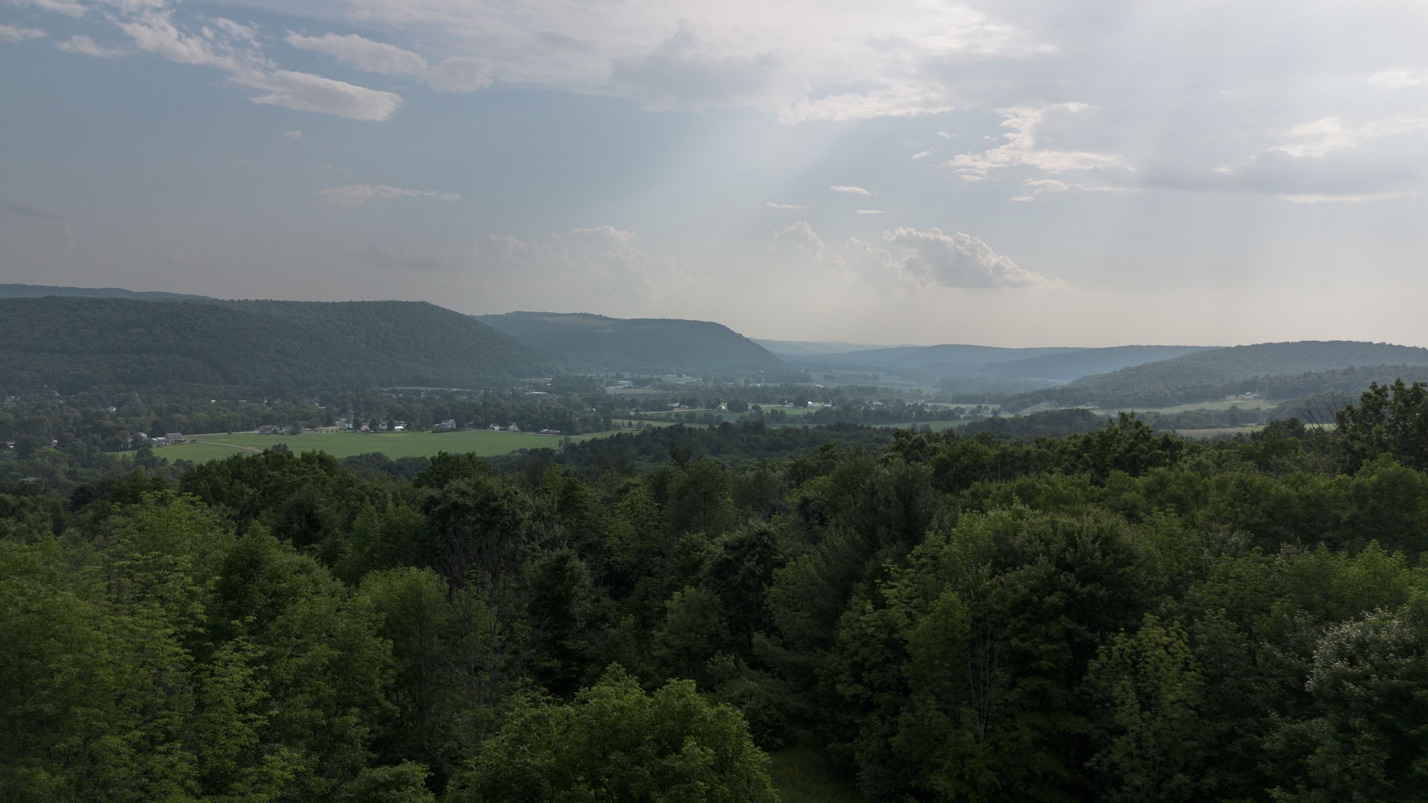 95 Candor Hill Road Candor, NY 13743 - Photo 3 of 49