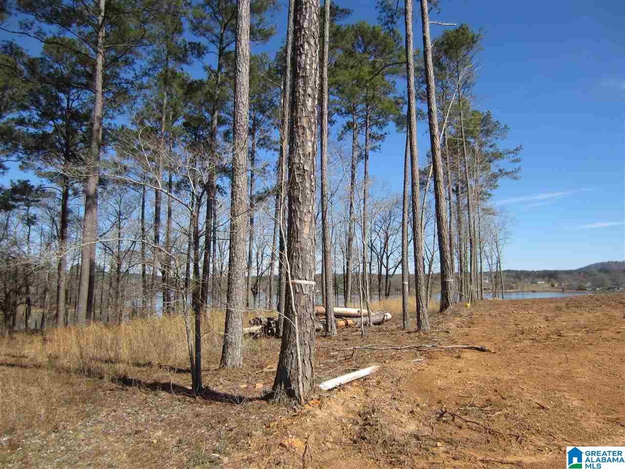 0 Timber Trail, Unit 28 Sylacauga, AL 35151 - Photo 2 of 22
