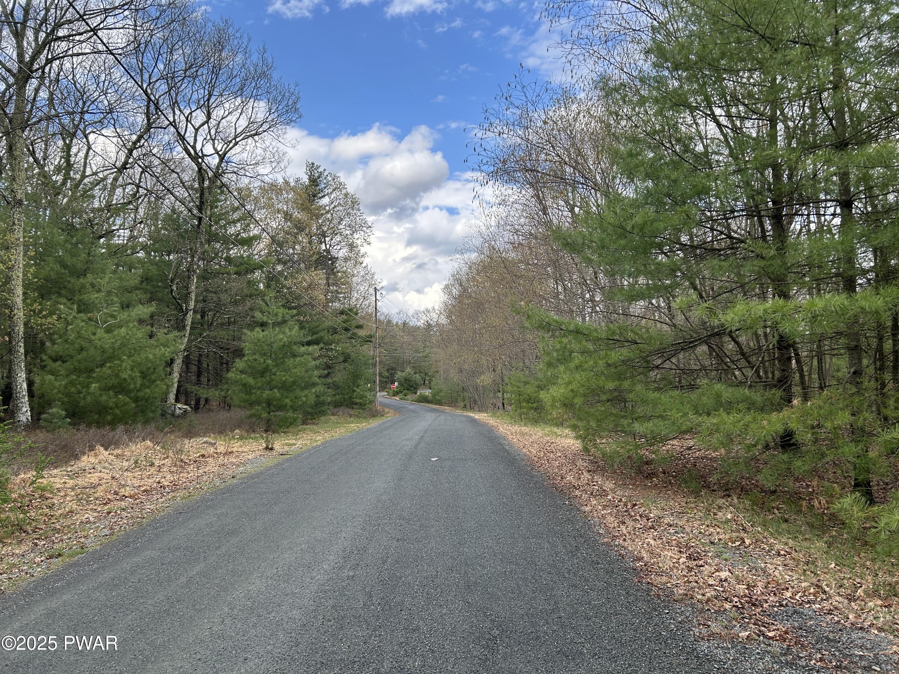 Lot 129 Pitch Pine Road Dingmans Ferry, PA 18328 - Photo 11 of 13
