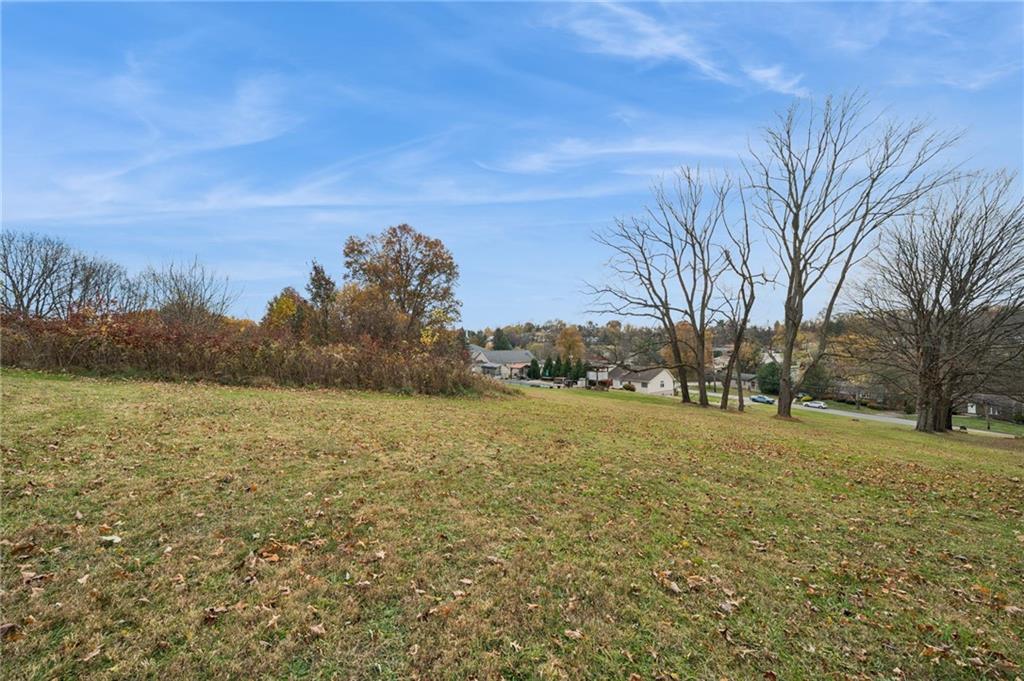 1512 Abers Creek Road Pittsburgh, PA 15239 - Photo 40 of 45 a view of big yard with a house