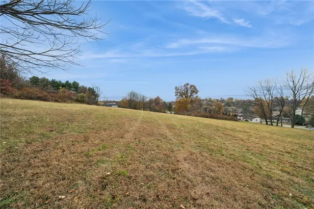 a backyard of a house with large trees