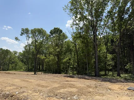 $1,999,990 | 1539 Divine Court, Arrington, TN 37014