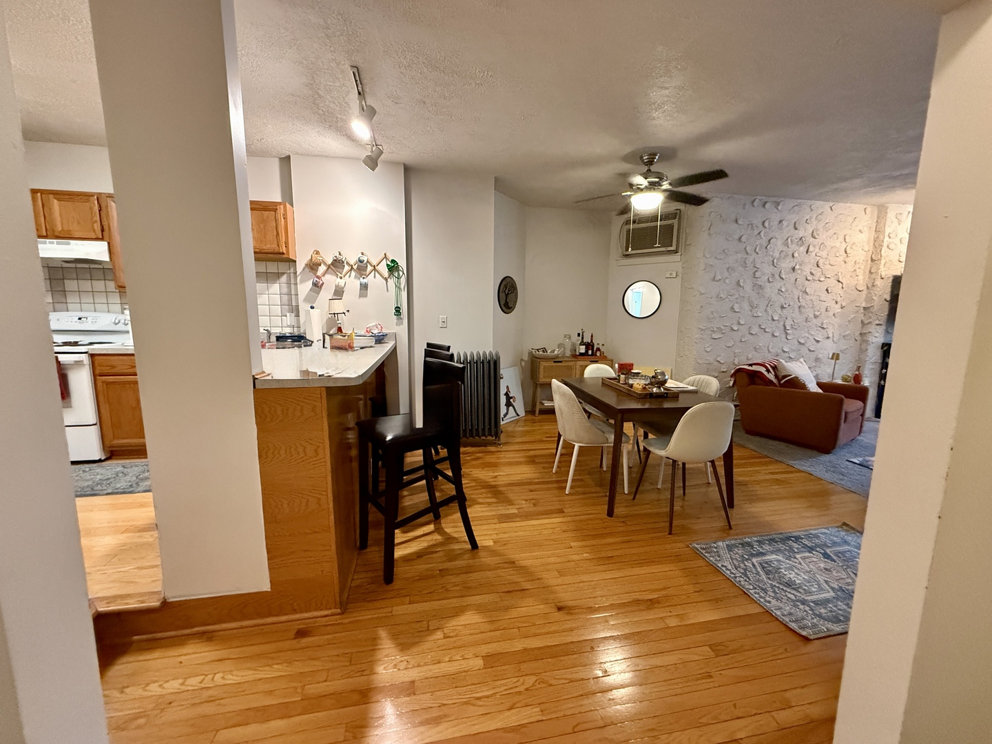 1132 West Addison Street, Unit 2 Chicago, IL 60613 - Photo 7 of 19