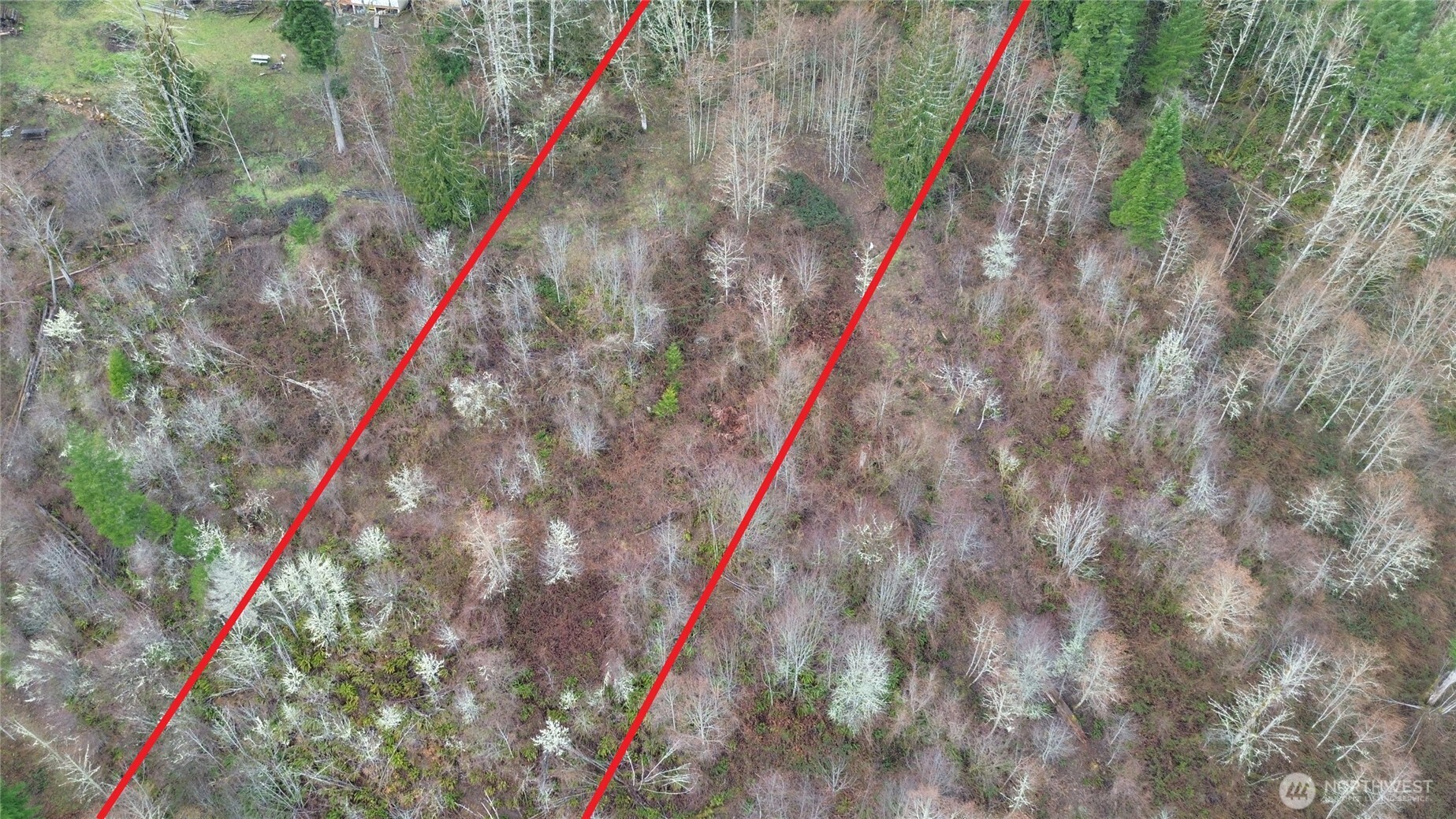 461 Clearwater Road Kelso, WA 98626 - Photo 13 of 33