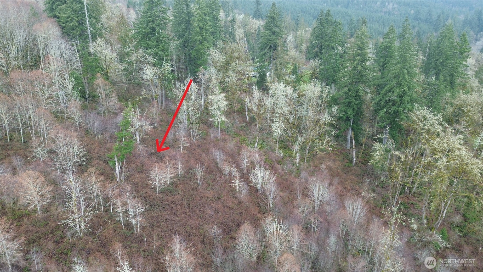 461 Clearwater Road Kelso, WA 98626 - Photo 14 of 33