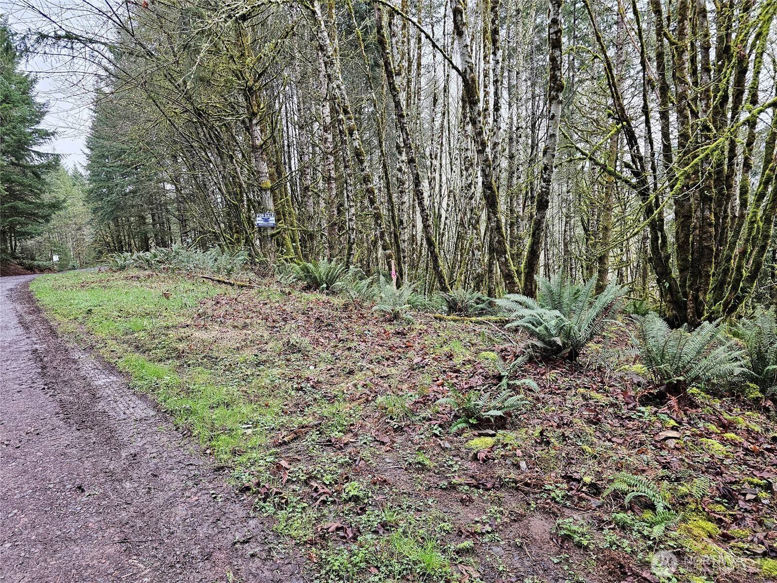 461 Clearwater Road Kelso, WA 98626 - Photo 2 of 33