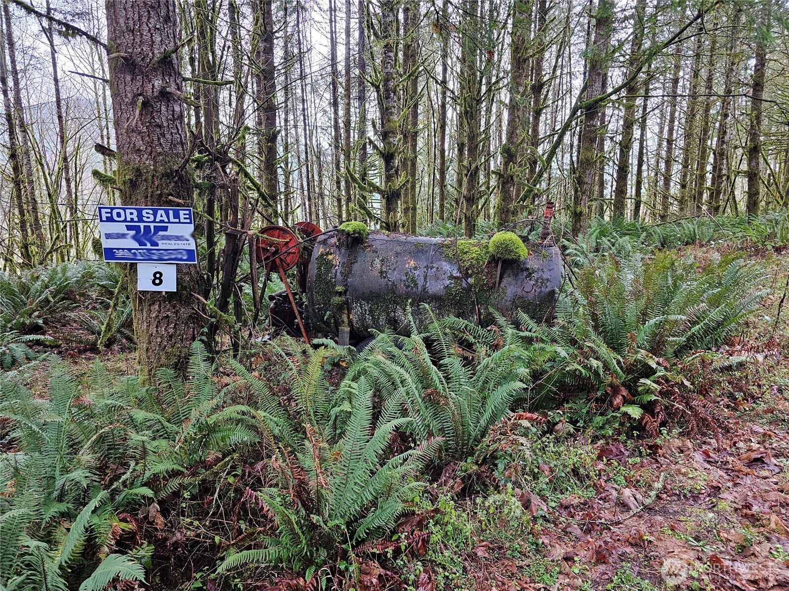 461 Clearwater Road Kelso, WA 98626 - Photo 26 of 33