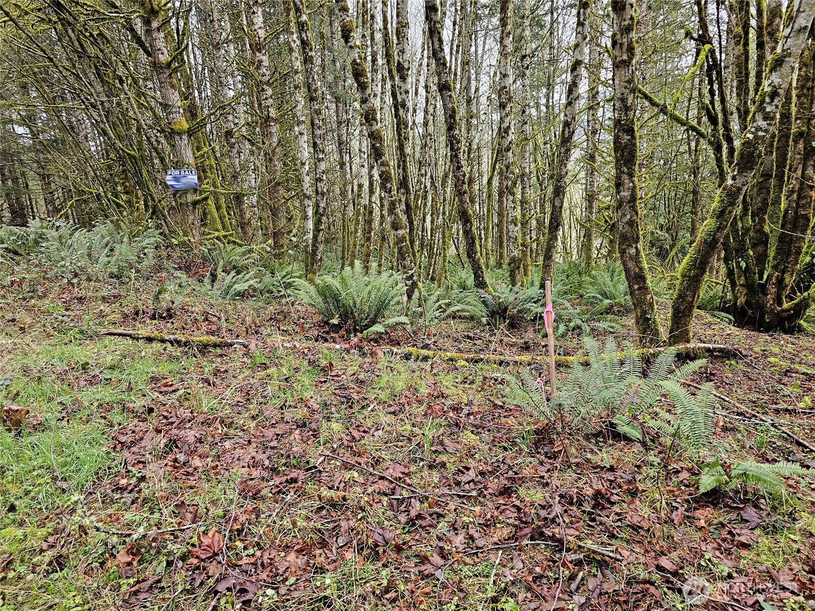 461 Clearwater Road Kelso, WA 98626 - Photo 32 of 33