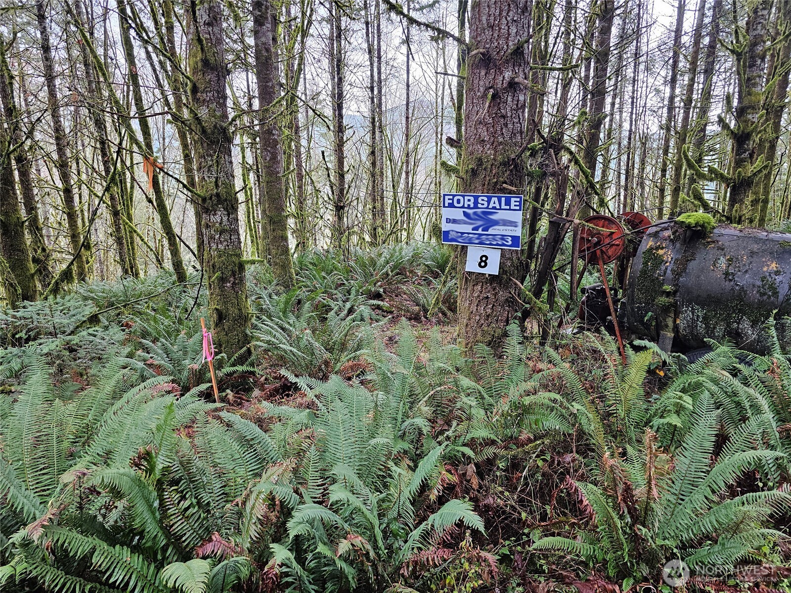 461 Clearwater Road Kelso, WA 98626 - Photo 6 of 33