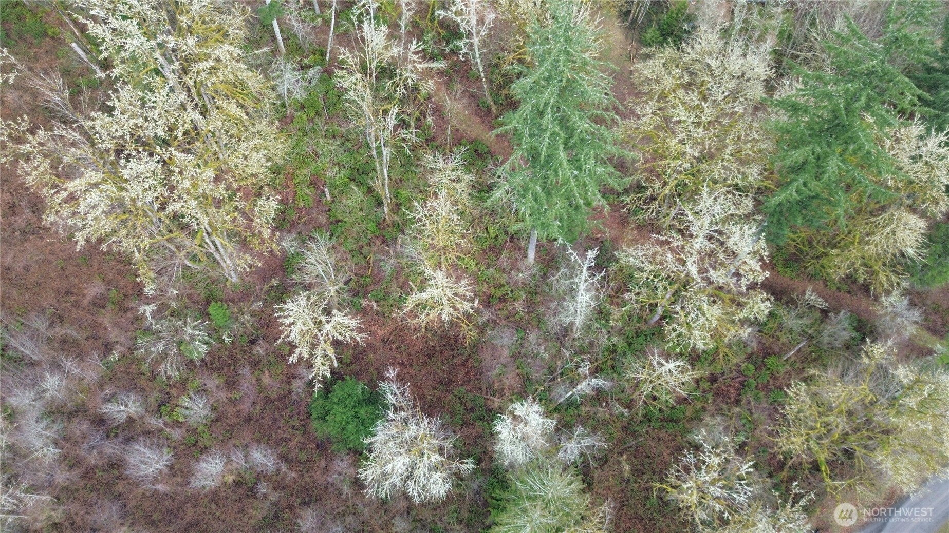 461 Clearwater Road Kelso, WA 98626 - Photo 8 of 33