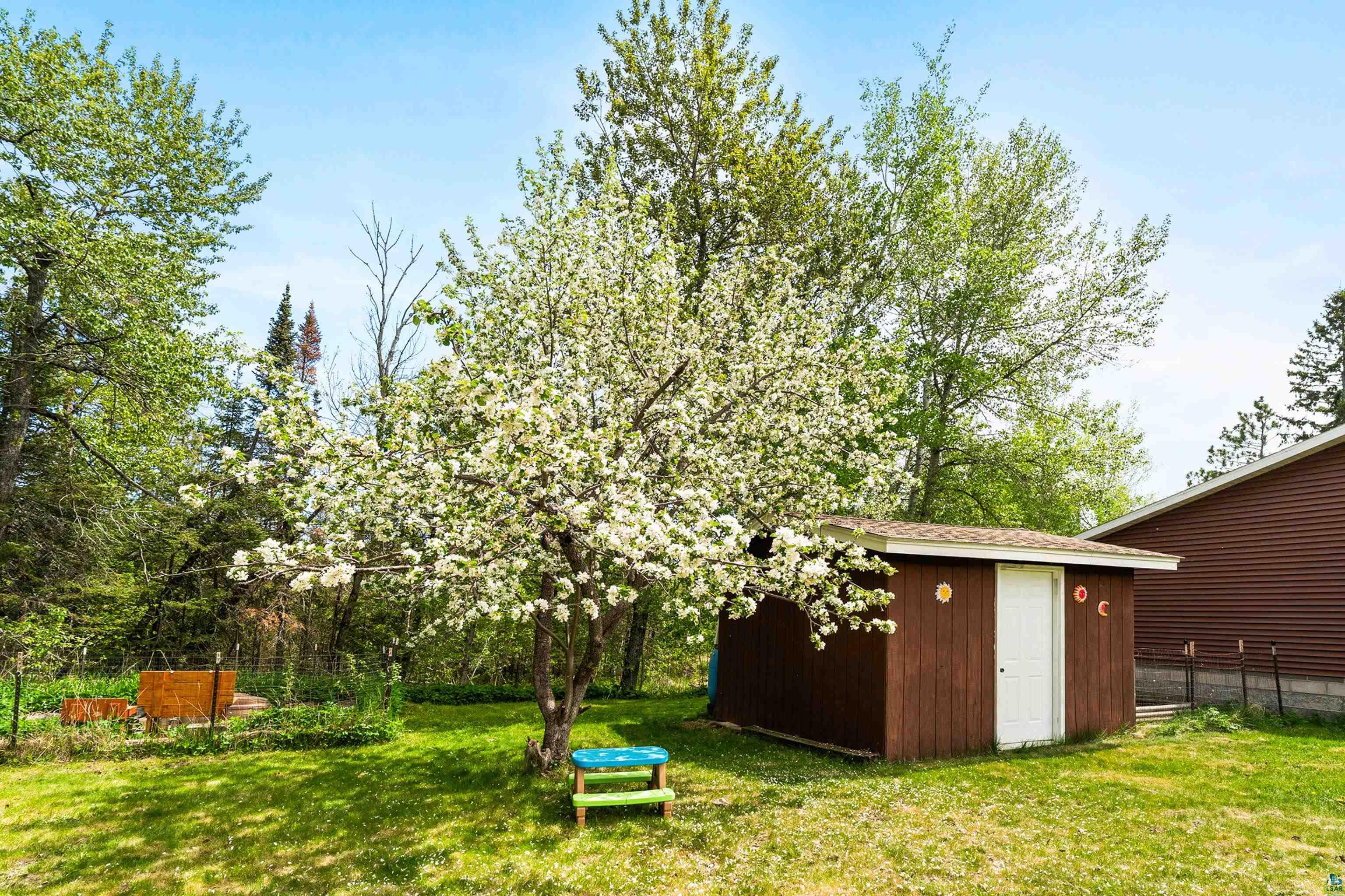 4808 Midway Road Duluth, MN 55811 - Photo 53 of 57 Expansive green lawn featuring a blossoming tree, a brown storage shed with a white door, and surrounding mature trees