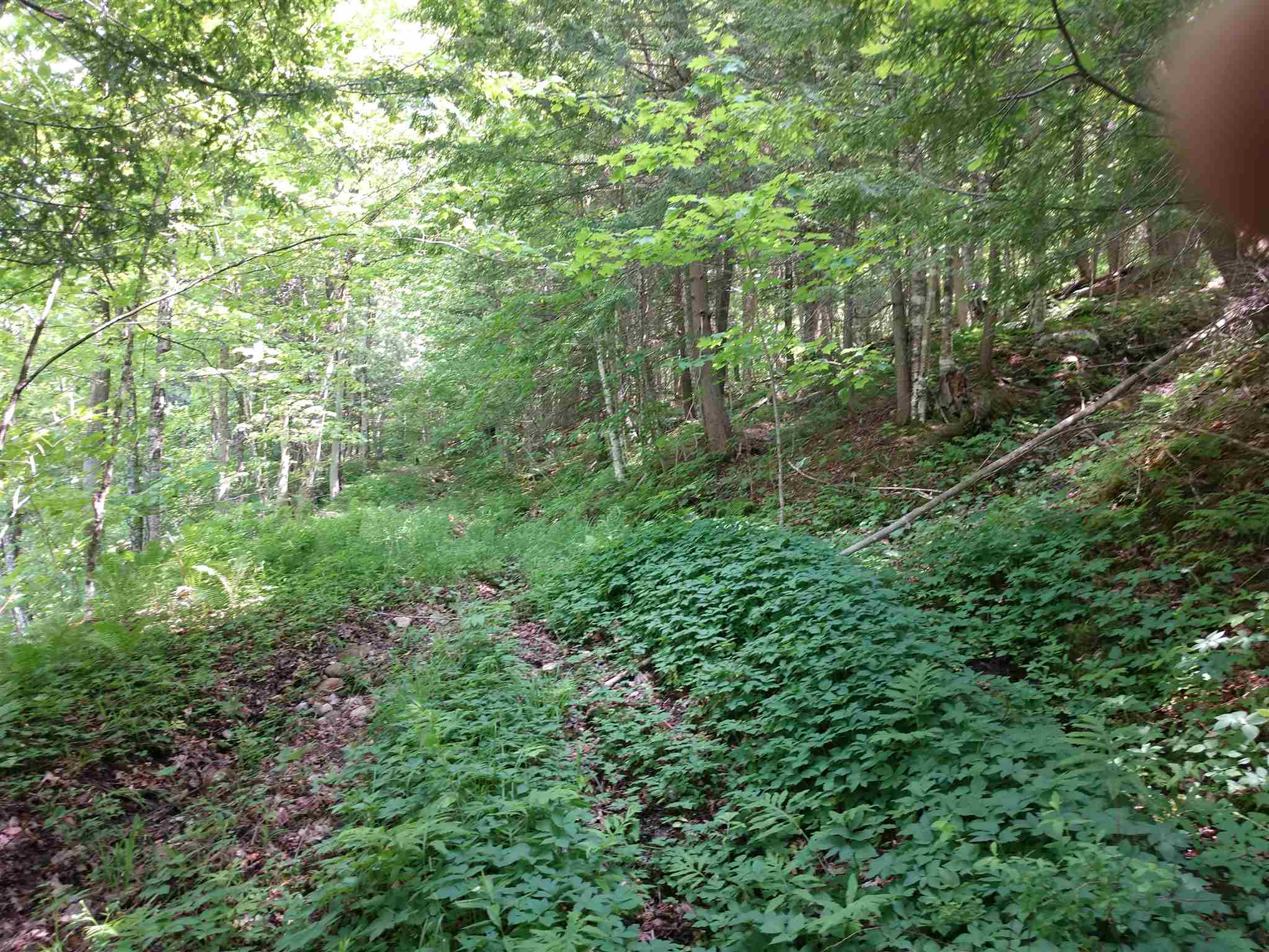 5640 Cold River Road Shrewsbury, VT 05738 - Photo 2 of 7 Gallery Image 2