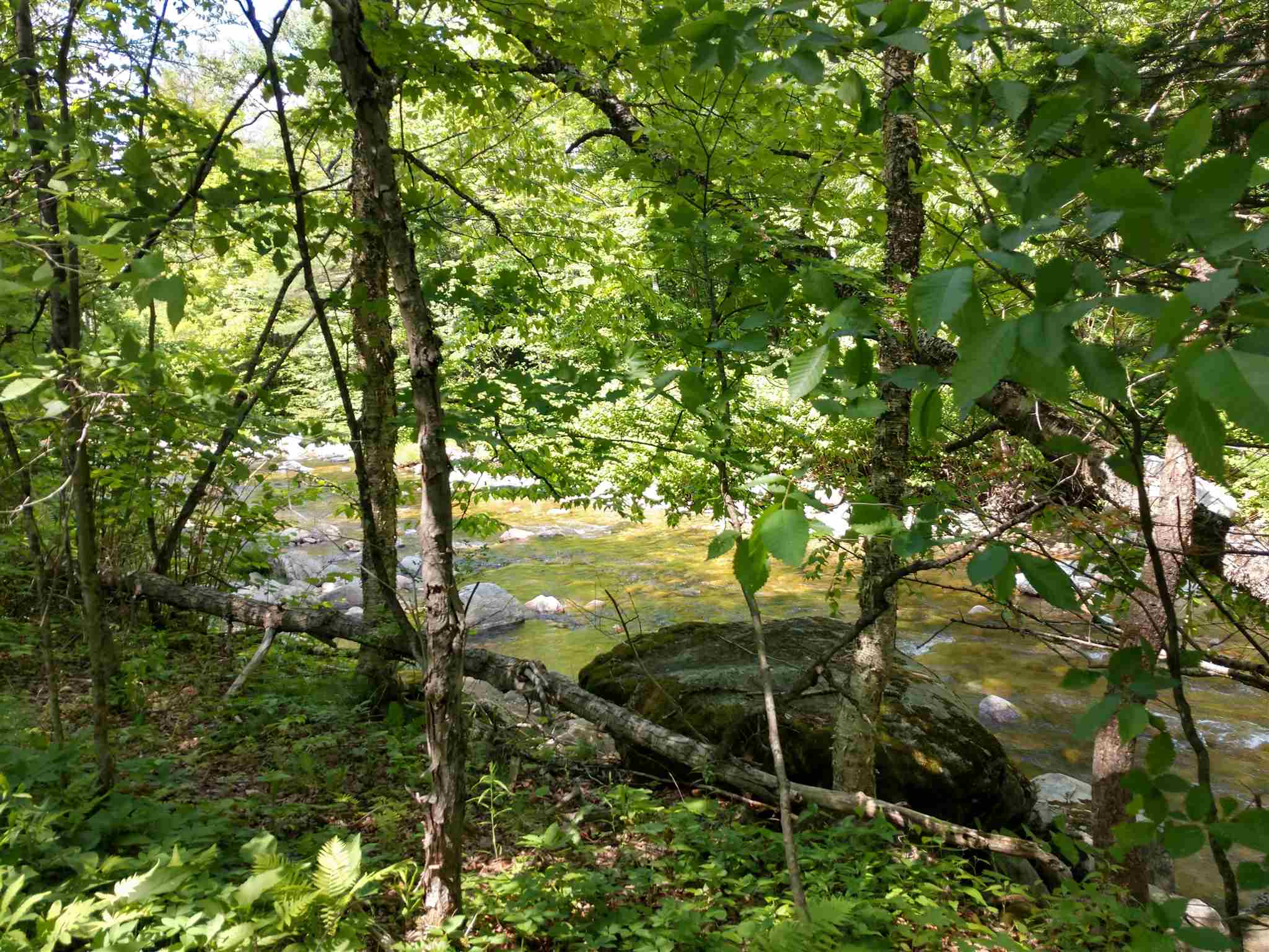 5640 Cold River Road Shrewsbury, VT 05738 - Photo 3 of 7 Gallery Image 3