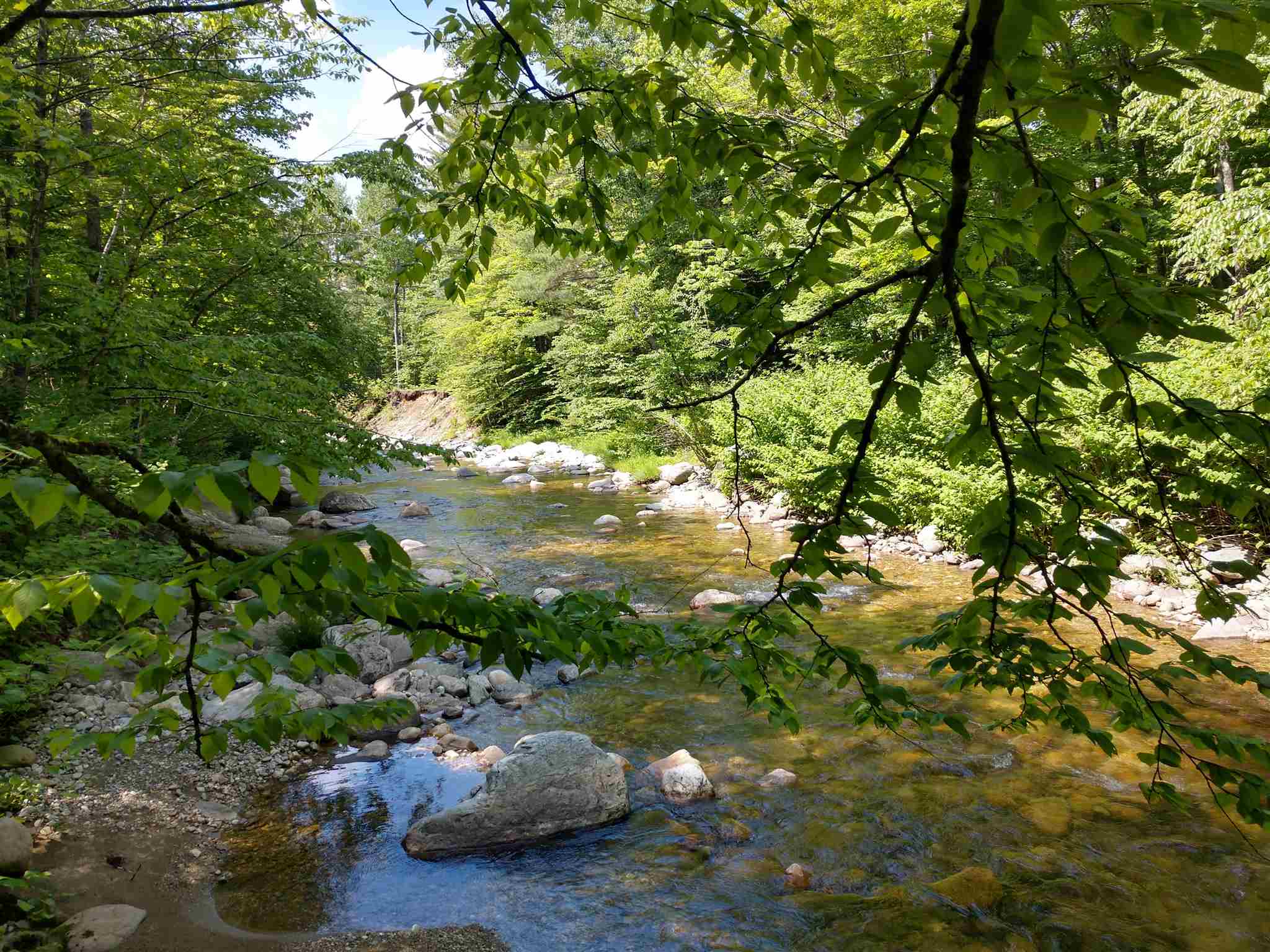 5640 Cold River Road Shrewsbury, VT 05738 - Photo 4 of 7 Gallery Image 4
