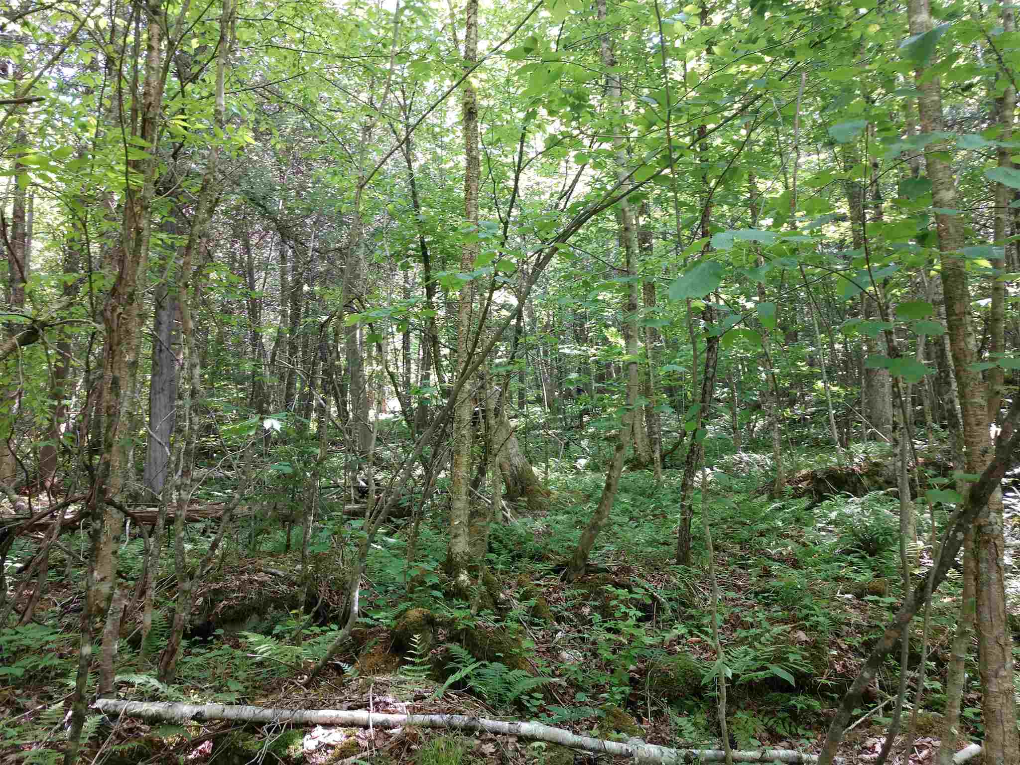 5640 Cold River Road Shrewsbury, VT 05738 - Photo 7 of 7 Gallery Image 7