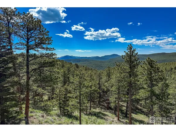a view of a room with lots of flower