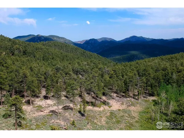 a view of a lush green hillside and houses