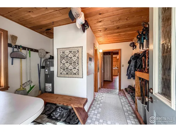 a view of a yard with an tree