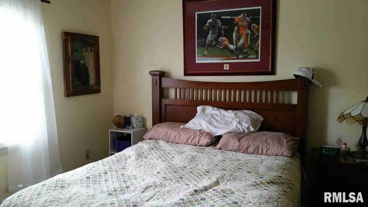 203 Brady Mill Road Anna, IL 62906 - Photo 9 of 19 Gallery Image 9